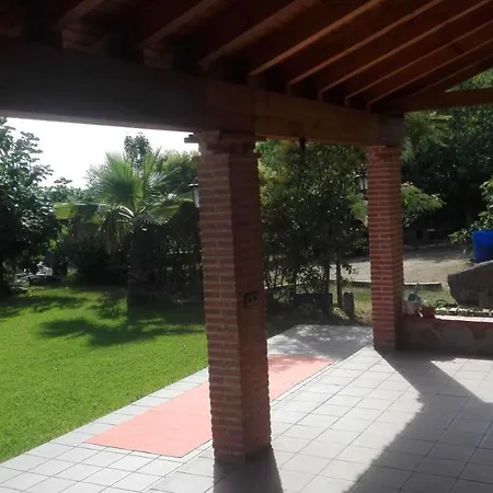 Higueras Y Olivos