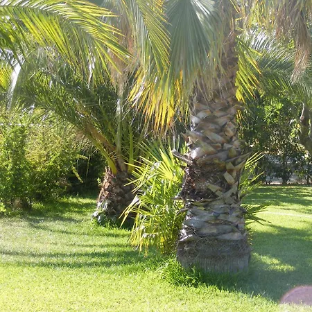 Vakantieboerderij Higueras Y Olivos